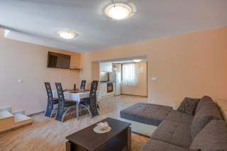 Holiday Home Ema - Happy Rentals - Vabriga - 9