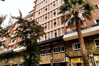 Apartamentos Carrillo 5 - Santa Cruz de Tenerife - 6