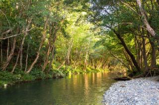 The Disco Studio - 1