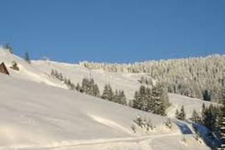 La Ferme du Nant - Portes du Soleil - La Chapelle-dʼAbondance - 4