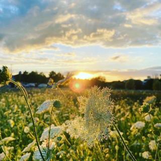 Luxus-Ferienhaus VILLA ARMONIA - 2