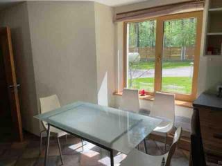 House in Pine forest Asari - 3