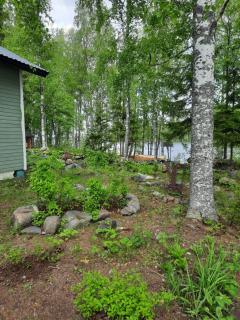Luonnon rauhaa Kalliosaaressa, private island - Polvijärvi - 8