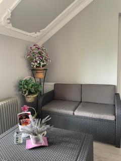 Vila de lux - Bela Crkva - 5