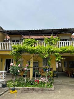 Vila de lux - Bela Crkva - 7