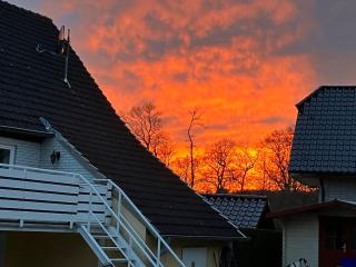 Ferienwohnung im Grünen EG mit Terrasse - 1