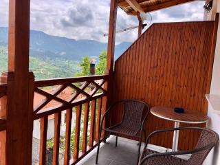 Apostolos Hotel - Metsovo - 3