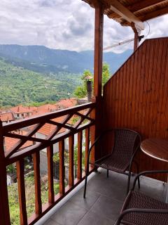 Apostolos Hotel - Metsovo - 2