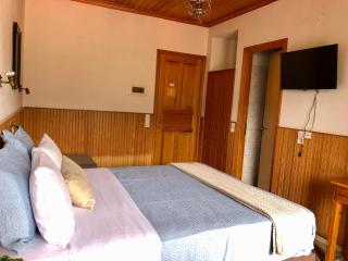 Apostolos Hotel - Metsovo - 1