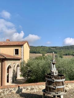 Podere le Mulina - Castiglione dʼOrcia - 9