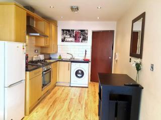 Comfortable Studio flat near Central London - Londra - 9