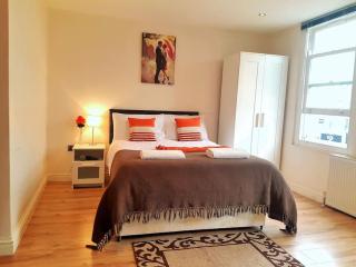 Comfortable Studio flat near Central London - Londra - 8