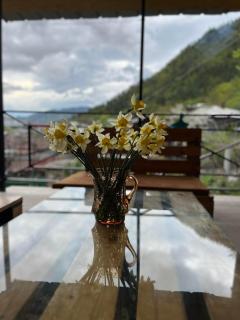 Gochi Home - Borjomi - 0