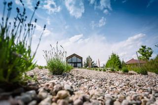 Stodoła lawendowe wzgórze na Pałukach polożona w malowniczej okolicy Oćwieka z zewnętrznym jacuzzi - 3