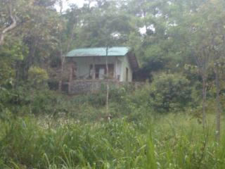 Honeyland hotel - Naula - 9