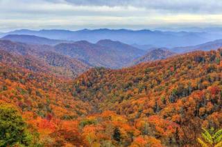 Hot Tub~ Arcade Game Room~ Pet Friendly~ Mt Views! - Sevierville - 3