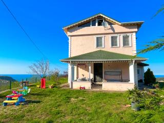 Nature Family House - Arsin - 6