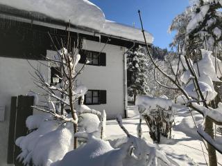 Forsthaus Reit im Winkl - Reit im Winkl - 1