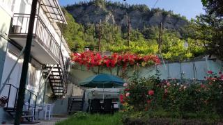Guest House Green Rose - 7