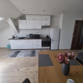 Černý Tulipán - Apartmán 5 - Plzeň - 3