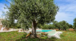 Trullo Delori with infinity Pool - Villa Castelli - 2