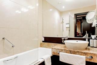 Crowne Plaza Bratislava by IHG - Bratislava - 6