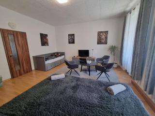 Černý Tulipán - Apartmán 1 - Plzeň - 9