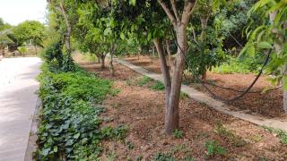 Stunning Villa with Pool, Table tennis, Table soccer and a Pool table - 3