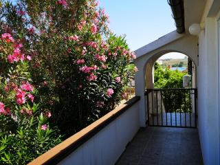 Apartments MINT Povljana - 50m from sandy beach - 9