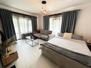 AmurResidence Sauna & Private Parking 2rooms apartment - Iaşi - 5