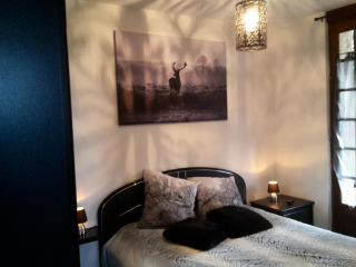 Appartement cosy à Villeneuve avec jardin privé - Villeneuve-dʼAveyron - 2