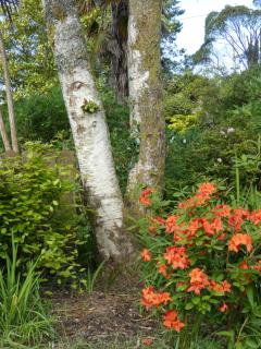 Rodeen Country House - Castletownbere - 1