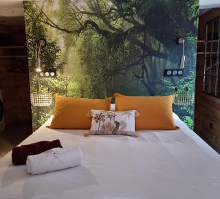 Chez Joy - Roquebrune-sur-Argens - 0