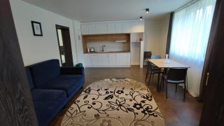 Apartments Venterivka 1 - Tatariv - 5