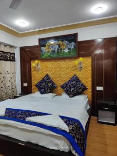 The Indian Kargil - 4