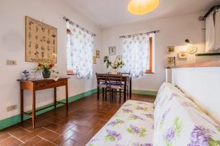 Appartamento Glicine - Radicofani - 5