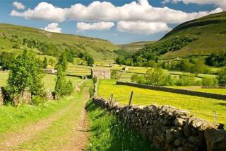 Fern Hse Grassington; central yet quiet & parking - 5