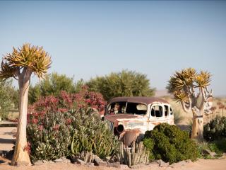 Gondwana Canyon Roadhouse - Stamprivier - 1