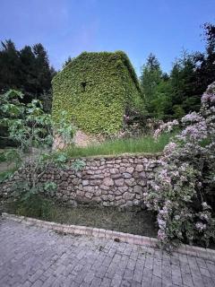 Gîte de Boidel DOMAINE DE BOIDEL - Vocance - 3