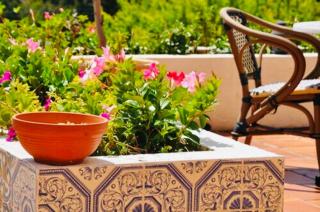 Sun Beach - Ajaccio - 2