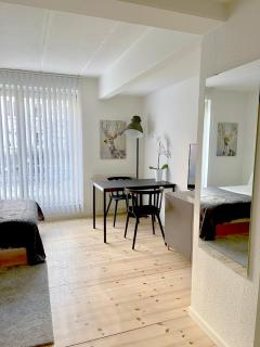 Great Modern Studio - Aalborg - 9