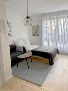 Great Modern Studio - Aalborg - 8