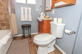 Honey Bear - Close to lake and village - Big Bear Lake - 1