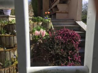 Large Country House in the heart of Champagne - 4