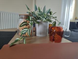 Village House with view - 3