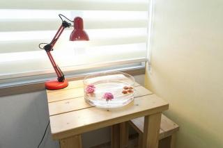 Danaharu Guesthouse - Jeonju - 6