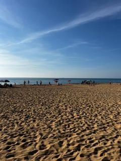 A CASA di ROSA,fronte spiaggia, piscina,parcheggio - 3