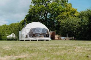 Beavers Retreat - Glamping with Hot Tubs options - 3