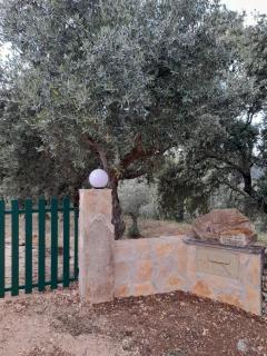 Casa dos Terranhos - 6