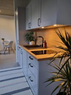 Pärnu Merimetsa Holiday Home - Pärnu - 4